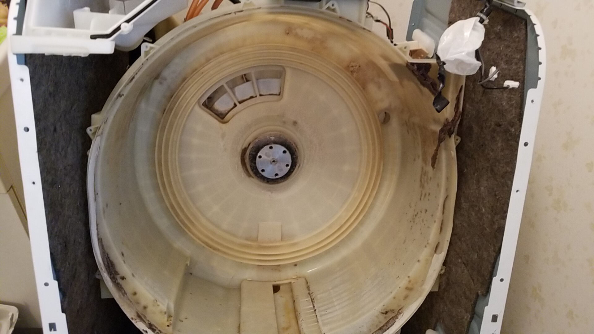 愛知県日進市TOSHIBA製ドラム洗濯機分解清掃同時乾燥系統清掃